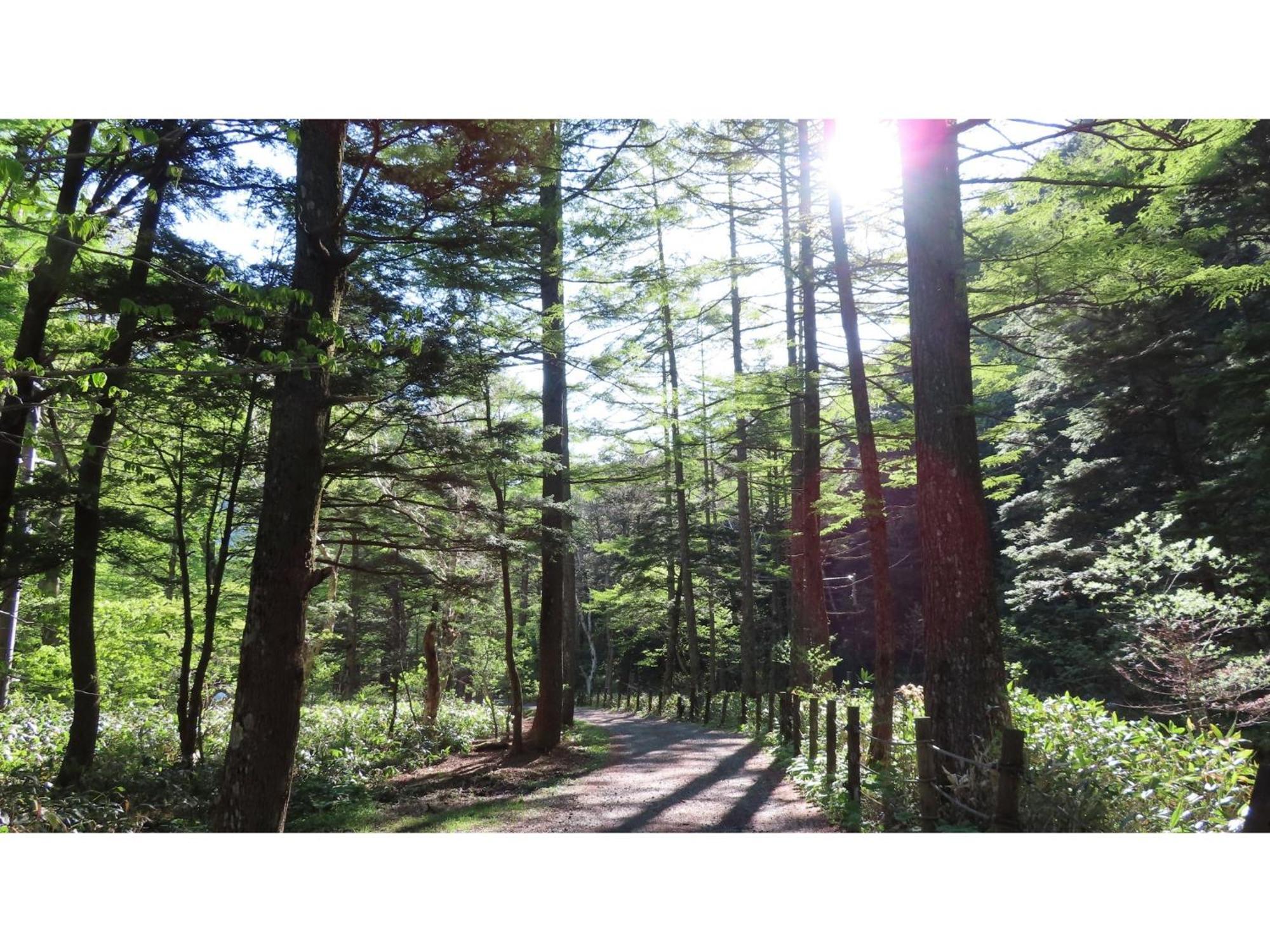 Nakanoyu Onsen Ryokan - Vacation Stay 06697V Matsumoto Ngoại thất bức ảnh